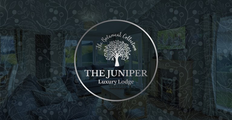 Introducing The Willerby Juniper