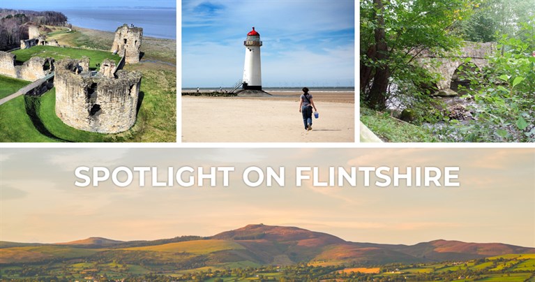Spotlight on Flintshire