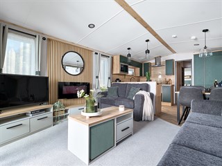 2025 ABI St David Static Caravan Holiday Home overview