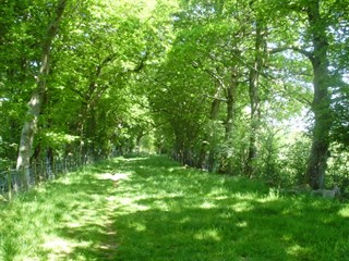 	Tyddyn Heilyn Caravan Park, Pwllheli