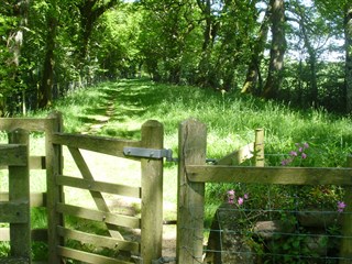 Tyddyn Heilyn Caravan Park, Pwllheli