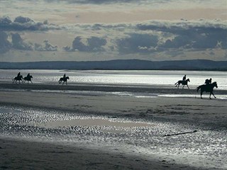 Beach horse riding in Pwllheli