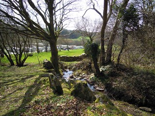 Tyddyn Llwyn Caravan Park
