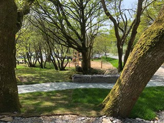 Tyddyn Llwyn Caravan Park