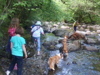 Dolgamedd Caravan Park, Dolgellau