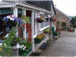 Llwyn Yr Helm Caravan Park, Dolgellau