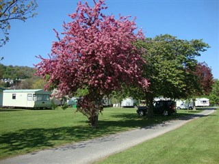 Caeran Caravan Park, Nr Abergele