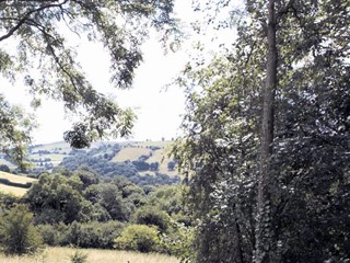 Caerwys View Caravan Park, Caerwys