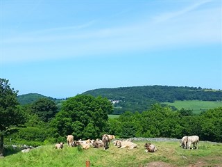 Tan y Bryn Caravan Park, Llandudno Junction