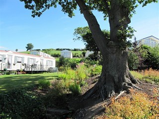 Tree Tops Caravan Park, Gwespyr, Nr Talacre