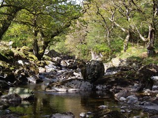 Dolhendre Caravan Park, Bala