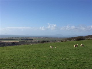 Rowen Caravan Park