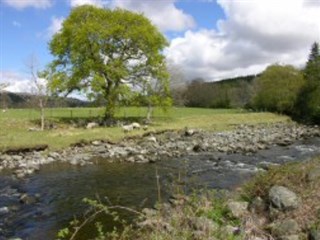 Fronalchen Caravan Park, Dolgellau