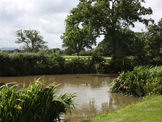 The Trotting Mare Caravan Park, Overton - on - Dee