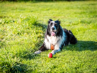 Glan Gors Holiday Park, Brynteg, Anglesey