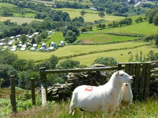 Bryn Uchel Caravan Park, Cwmllinau