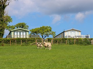 Trallwyn caravan park
