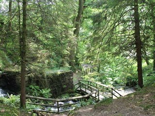 Aberdunant Hall Holiday Park