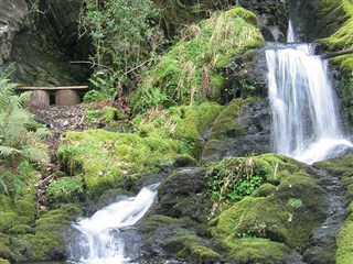 Aberdunant Hall Holiday Park