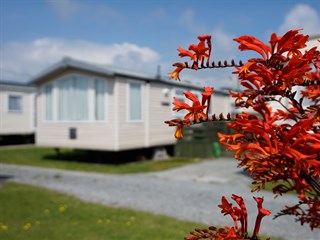 Green Gate Caravan Park, Porthmadog