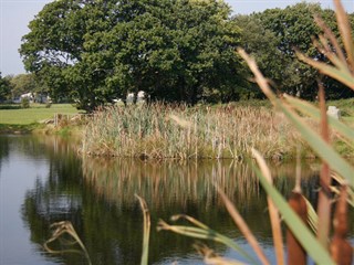 Y Noddfa Caravan Park, Rhosfawr, Pwllheli