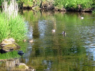 Parc Farm Caravan Park, Oswestry, Inland North Wales.	