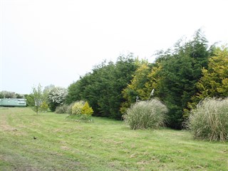 Gardens around The Paddocks Lodge Park, Kinmel Bay