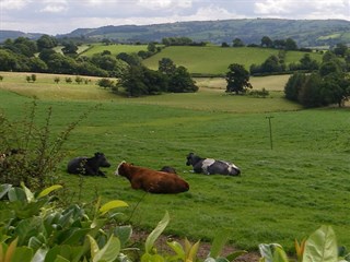 Parc Cynhinfa, Powys