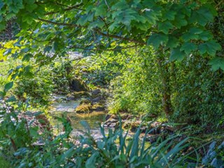 Woodland Falls Holiday Park, Lligwy woodland walk