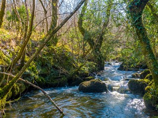 Woodland Falls Holiday Park, Lligwy