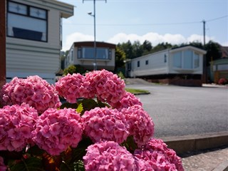 Lynden Caravan Park, Llanddulas