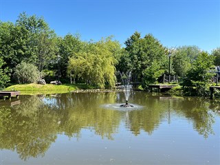 Llwyn Fynnon Caravan Park lake