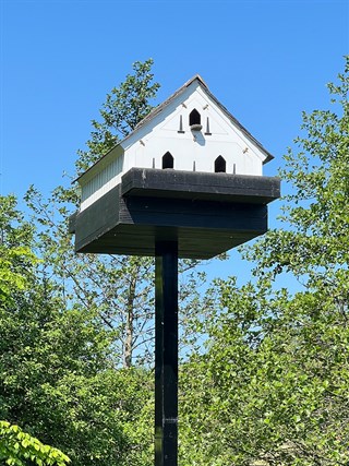 Llwyn Fynnon Caravan Park dovecot
