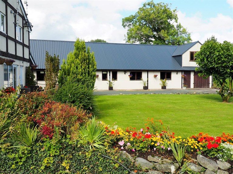 Llwyn Celyn Caravan Park (Newtown)