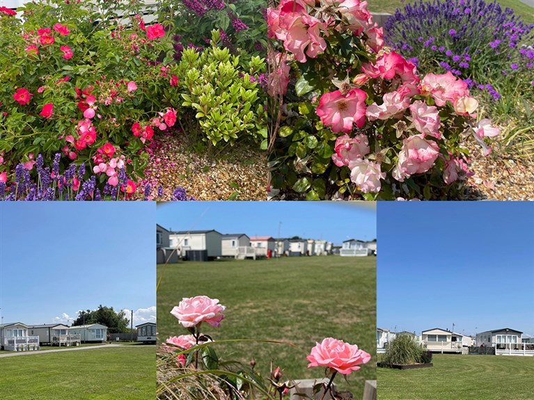 Ty Gwyn Caravan Park, Towyn