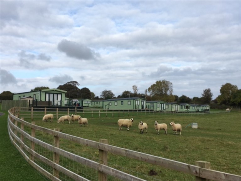 Fron Farm Caravan Park, Mold