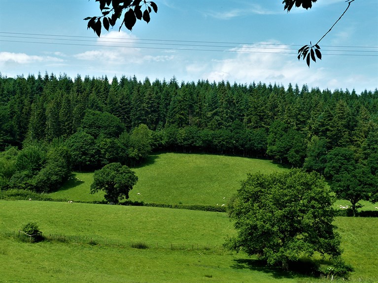 Fir View Tan Y Ffridd Holiday Home & Caravan park (Welshpool)