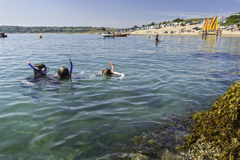 Snorkelling off Abersoch beach