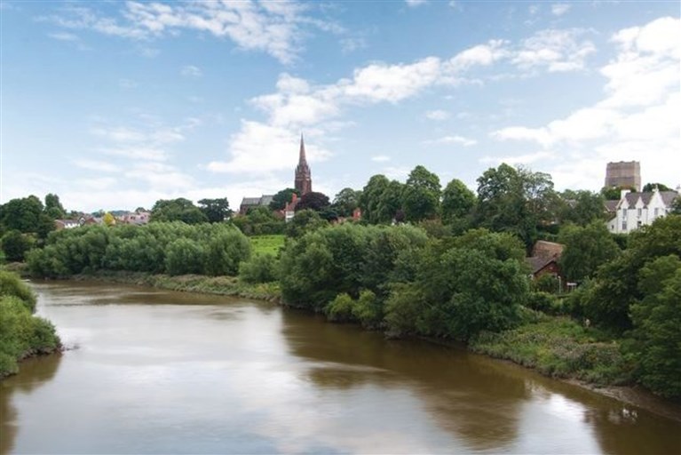 River Dee Chester from Fir Trees