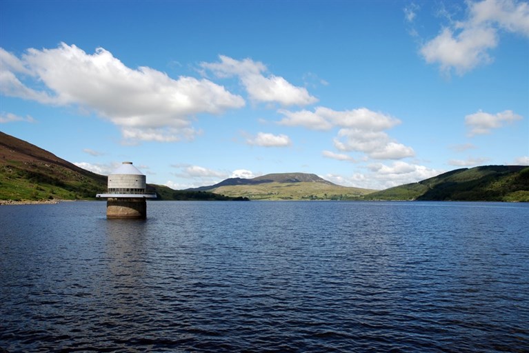 Llyn Celyn, Gwynedd