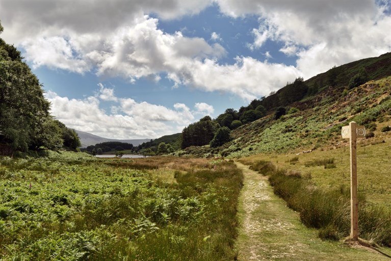 Footpath near Dolgellau